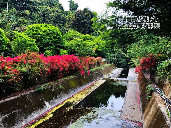 苗栗景點》岩川森林民宿莊園餐廳．夢幻城堡賞螢去~來場螢火舞會吧、擁有整座山賞螢勝地 @青青小熊＊旅遊札記