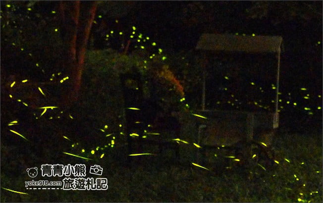 苗栗景點》岩川森林民宿莊園餐廳.夢幻城堡賞螢去~來場螢火舞會吧、擁有整座山賞螢勝地 @青青小熊*旅遊札記 苗栗景點》岩川森林民宿莊園餐廳.夢幻城堡賞螢去~來場螢火舞會吧、擁有整座山賞螢勝地 @青青小熊*旅遊札記
