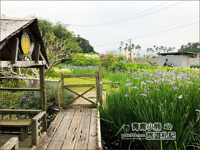 苗栗景點》荷塘居．公館夢幻鳶尾花景觀餐廳~田園中的美麗風景 @青青小熊＊旅遊札記