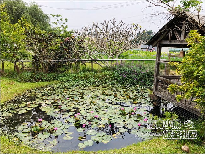 苗栗景點》荷塘居．公館夢幻鳶尾花景觀餐廳~田園中的美麗風景 @青青小熊＊旅遊札記