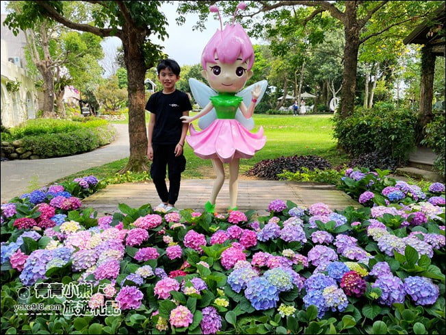 苗栗景點》卓蘭花露休閒農場.超美的繡球花美麗綻放~一起約會去 @青青小熊*旅遊札記 苗栗景點》卓蘭花露休閒農場.超美的繡球花美麗綻放~一起約會去 @青青小熊*旅遊札記