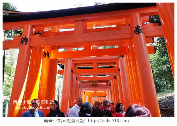 京都一日遊推薦》大阪出發-京都巴士一日遊.帶你一天走訪伏見稻荷大社.清水寺.金閣寺.嵐山 @青青小熊*旅遊札記 京都一日遊推薦》大阪出發-京都巴士一日遊.帶你一天走訪伏見稻荷大社.清水寺.金閣寺.嵐山 @青青小熊*旅遊札記