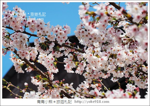 京都一日遊推薦》大阪出發-京都巴士一日遊.帶你一天走訪伏見稻荷大社.清水寺.金閣寺.嵐山 @青青小熊*旅遊札記 京都一日遊推薦》大阪出發-京都巴士一日遊.帶你一天走訪伏見稻荷大社.清水寺.金閣寺.嵐山 @青青小熊*旅遊札記