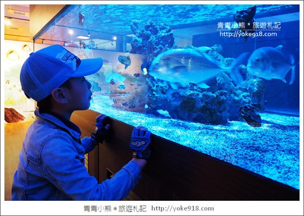 宜蘭礁溪景點》金車水產養殖研發中心~有如來到水族館還可餵鯊魚 @青青小熊＊旅遊札記