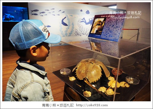 宜蘭礁溪景點》金車水產養殖研發中心~有如來到水族館還可餵鯊魚 @青青小熊*旅遊札記 宜蘭礁溪景點》金車水產養殖研發中心~有如來到水族館還可餵鯊魚 @青青小熊*旅遊札記