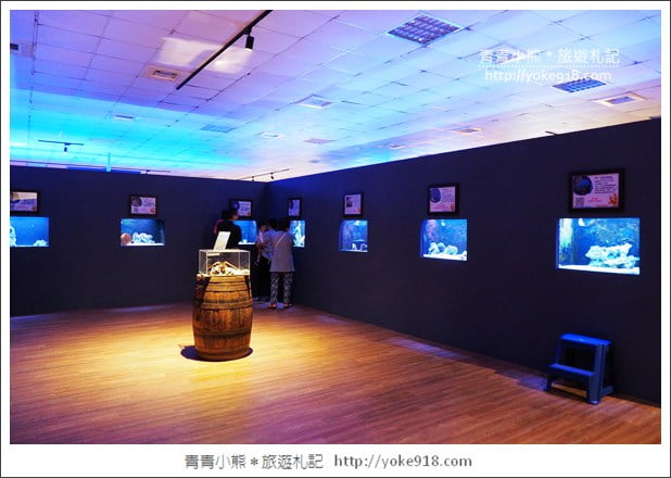 宜蘭礁溪景點》金車水產養殖研發中心~有如來到水族館還可餵鯊魚 @青青小熊*旅遊札記 宜蘭礁溪景點》金車水產養殖研發中心~有如來到水族館還可餵鯊魚 @青青小熊*旅遊札記