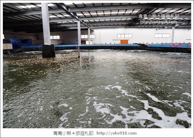 宜蘭礁溪景點》金車水產養殖研發中心~有如來到水族館還可餵鯊魚 @青青小熊*旅遊札記 宜蘭礁溪景點》金車水產養殖研發中心~有如來到水族館還可餵鯊魚 @青青小熊*旅遊札記