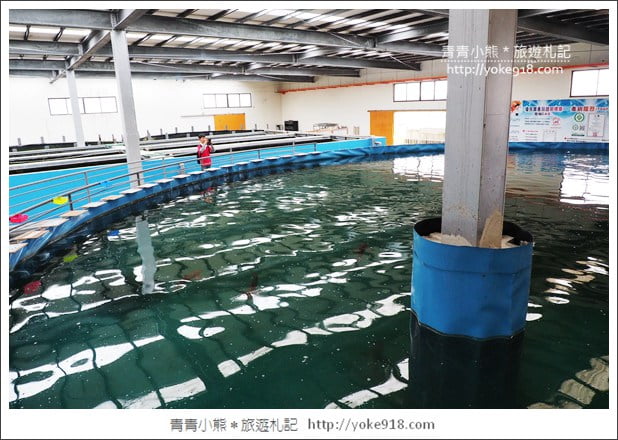 宜蘭礁溪景點》金車水產養殖研發中心~有如來到水族館還可餵鯊魚 @青青小熊*旅遊札記 宜蘭礁溪景點》金車水產養殖研發中心~有如來到水族館還可餵鯊魚 @青青小熊*旅遊札記
