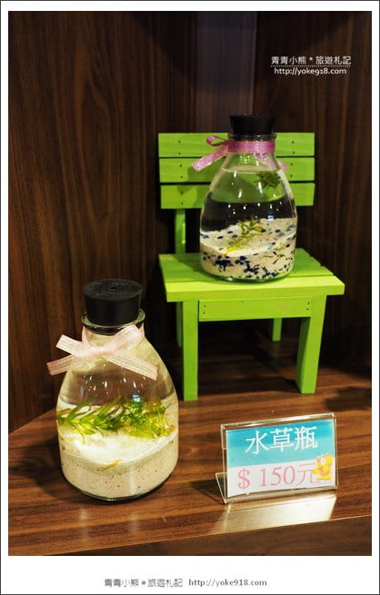 宜蘭礁溪景點》金車水產養殖研發中心~有如來到水族館還可餵鯊魚 @青青小熊*旅遊札記 宜蘭礁溪景點》金車水產養殖研發中心~有如來到水族館還可餵鯊魚 @青青小熊*旅遊札記