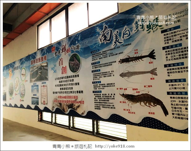 宜蘭礁溪景點》金車水產養殖研發中心~有如來到水族館還可餵鯊魚 @青青小熊＊旅遊札記