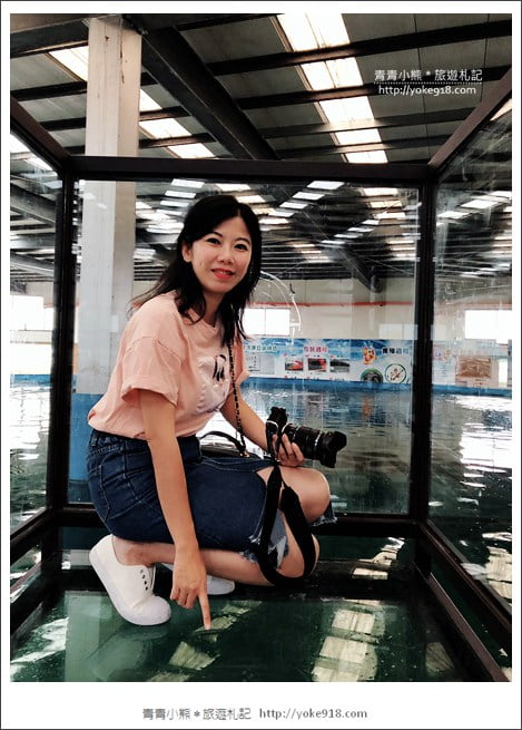 宜蘭礁溪景點》金車水產養殖研發中心~有如來到水族館還可餵鯊魚 @青青小熊*旅遊札記 宜蘭礁溪景點》金車水產養殖研發中心~有如來到水族館還可餵鯊魚 @青青小熊*旅遊札記