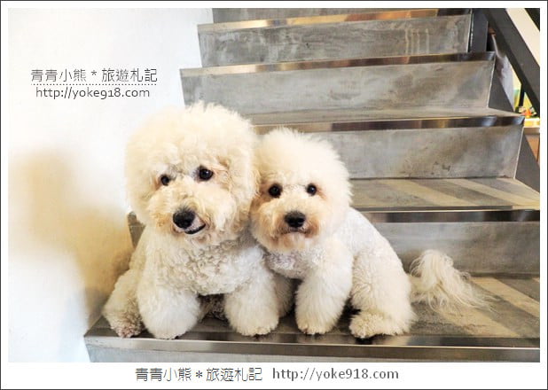 宜蘭新景點》LaVIE 花藝咖啡空間.超美的打卡空間~來去宜蘭喝下午茶 @青青小熊*旅遊札記 宜蘭新景點》LaVIE 花藝咖啡空間.超美的打卡空間~來去宜蘭喝下午茶 @青青小熊*旅遊札記