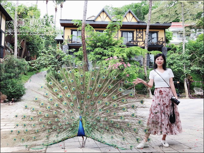 台南戶外景點》台南一日遊推薦.戶外踏青、看海、賞景~不用人擠人的路線 @青青小熊*旅遊札記 台南戶外景點》台南一日遊推薦.戶外踏青、看海、賞景~不用人擠人的路線 @青青小熊*旅遊札記
