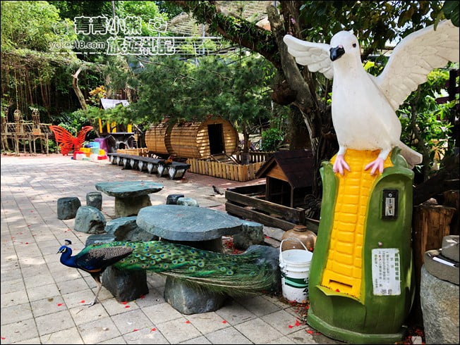 台南景點》大坑休閒農場．美拍打卡點~紫花隧道造景，還有好吃的烤雞餐 @青青小熊＊旅遊札記