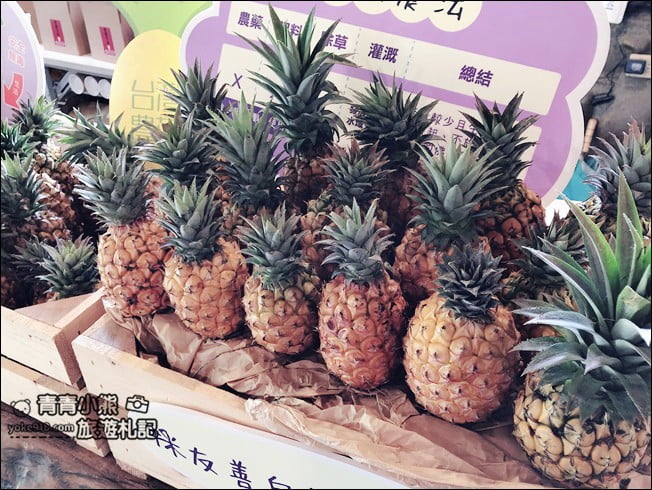 台南景點》大坑休閒農場．美拍打卡點~紫花隧道造景，還有好吃的烤雞餐 @青青小熊＊旅遊札記