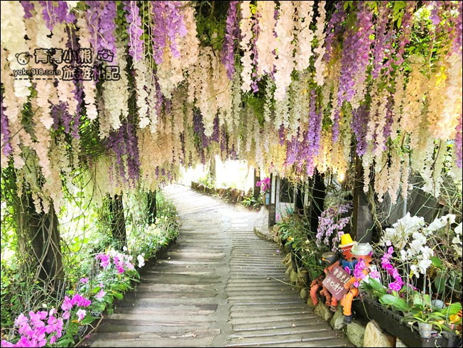 台南景點》大坑休閒農場.美拍打卡點~紫花隧道造景,還有好吃的烤雞餐 @青青小熊*旅遊札記 台南景點》大坑休閒農場.美拍打卡點~紫花隧道造景,還有好吃的烤雞餐 @青青小熊*旅遊札記