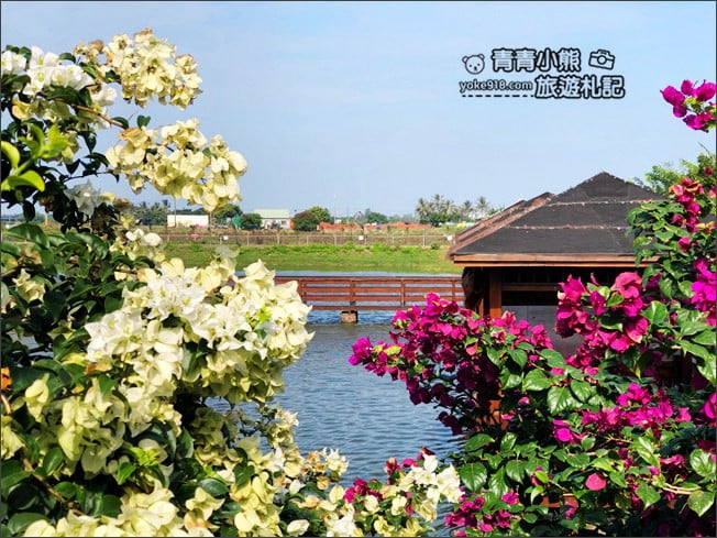 台南景點》水瀨閣．有著水上木屋的海鮮餐廳~還可以玩沙餵魚，聚會好去處 @青青小熊＊旅遊札記