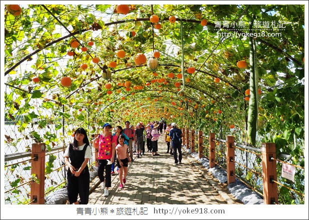 苗栗造橋景點》南瓜隧道登場.美麗的造橋南瓜節~一起漫步湖畔 @青青小熊*旅遊札記 苗栗造橋景點》南瓜隧道登場.美麗的造橋南瓜節~一起漫步湖畔 @青青小熊*旅遊札記