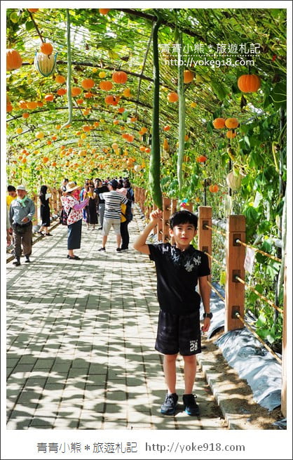 苗栗造橋景點》南瓜隧道登場．美麗的造橋南瓜節~一起漫步湖畔 @青青小熊＊旅遊札記