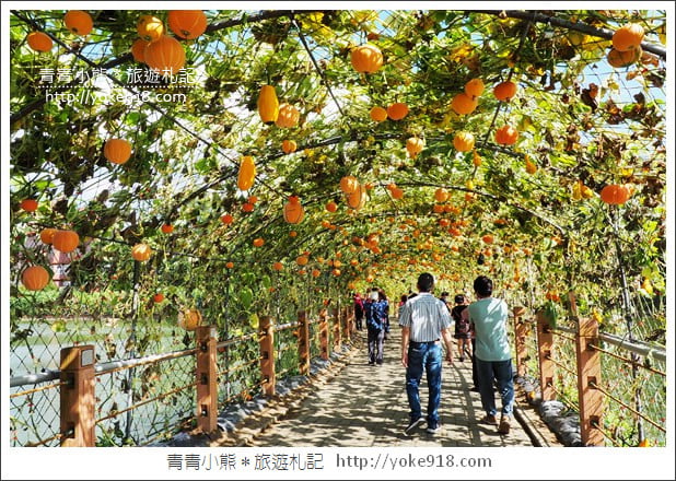 苗栗造橋景點》南瓜隧道登場.美麗的造橋南瓜節~一起漫步湖畔 @青青小熊*旅遊札記 苗栗造橋景點》南瓜隧道登場.美麗的造橋南瓜節~一起漫步湖畔 @青青小熊*旅遊札記