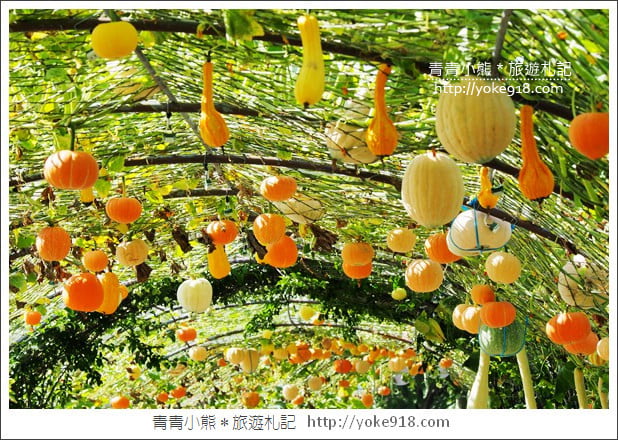 苗栗造橋景點》南瓜隧道登場.美麗的造橋南瓜節~一起漫步湖畔 @青青小熊*旅遊札記 苗栗造橋景點》南瓜隧道登場.美麗的造橋南瓜節~一起漫步湖畔 @青青小熊*旅遊札記