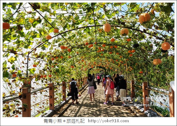 苗栗造橋景點》南瓜隧道登場.美麗的造橋南瓜節~一起漫步湖畔 @青青小熊*旅遊札記 苗栗造橋景點》南瓜隧道登場.美麗的造橋南瓜節~一起漫步湖畔 @青青小熊*旅遊札記