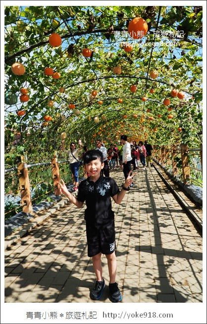 苗栗造橋景點》南瓜隧道登場.美麗的造橋南瓜節~一起漫步湖畔 @青青小熊*旅遊札記 苗栗造橋景點》南瓜隧道登場.美麗的造橋南瓜節~一起漫步湖畔 @青青小熊*旅遊札記