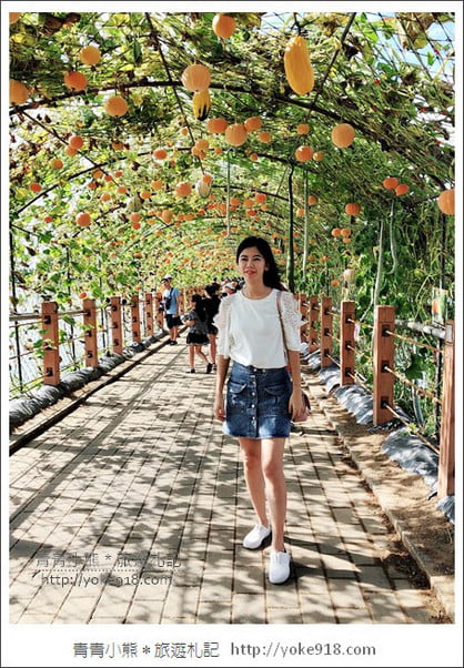 苗栗造橋景點》南瓜隧道登場.美麗的造橋南瓜節~一起漫步湖畔 @青青小熊*旅遊札記 苗栗造橋景點》南瓜隧道登場.美麗的造橋南瓜節~一起漫步湖畔 @青青小熊*旅遊札記