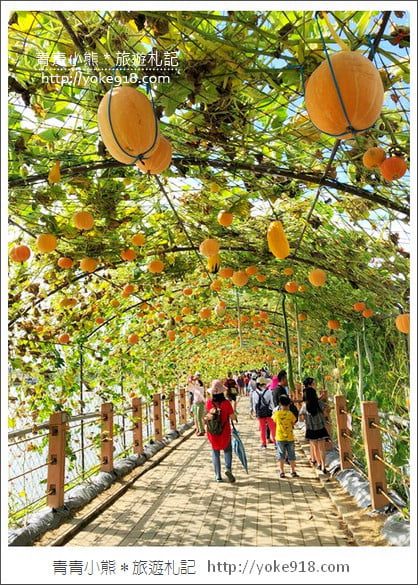 苗栗造橋景點》南瓜隧道登場．美麗的造橋南瓜節~一起漫步湖畔 @青青小熊＊旅遊札記
