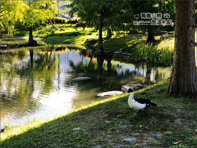 花蓮景點》松湖驛站.吉安迷你版雲山水~美麗的湖畔風光,餵魚、吃美食去 @青青小熊*旅遊札記 花蓮景點》松湖驛站.吉安迷你版雲山水~美麗的湖畔風光,餵魚、吃美食去 @青青小熊*旅遊札記