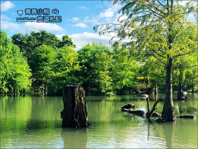 花蓮景點》松湖驛站.吉安迷你版雲山水~美麗的湖畔風光,餵魚、吃美食去 @青青小熊*旅遊札記 花蓮景點》松湖驛站.吉安迷你版雲山水~美麗的湖畔風光,餵魚、吃美食去 @青青小熊*旅遊札記