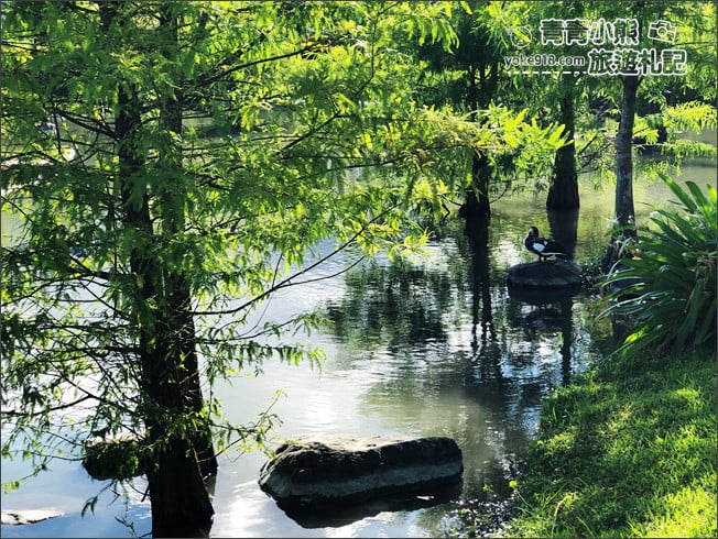 花蓮景點》松湖驛站.吉安迷你版雲山水~美麗的湖畔風光,餵魚、吃美食去 @青青小熊*旅遊札記 花蓮景點》松湖驛站.吉安迷你版雲山水~美麗的湖畔風光,餵魚、吃美食去 @青青小熊*旅遊札記