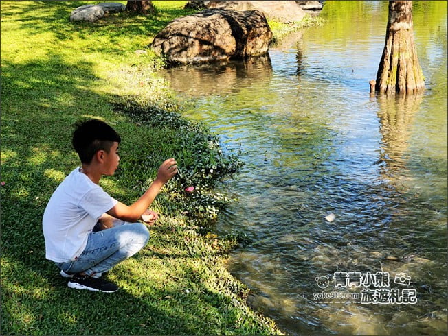花蓮景點》松湖驛站.吉安迷你版雲山水~美麗的湖畔風光,餵魚、吃美食去 @青青小熊*旅遊札記 花蓮景點》松湖驛站.吉安迷你版雲山水~美麗的湖畔風光,餵魚、吃美食去 @青青小熊*旅遊札記