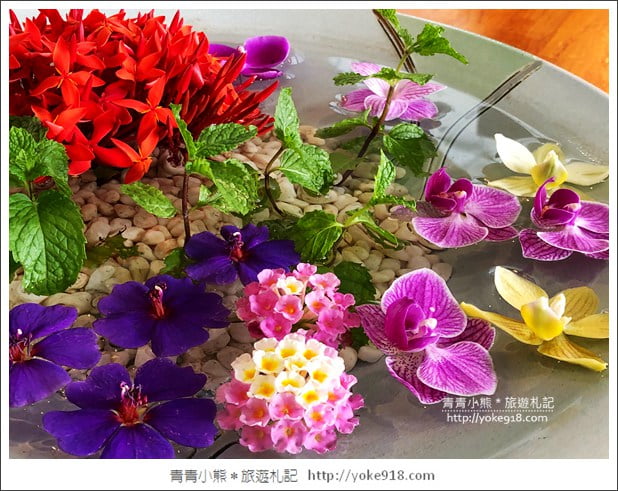 宜蘭頭城景點》蘫咖啡．可以看到龜山島的海景咖啡廳~湛藍大海好迷人 @青青小熊＊旅遊札記