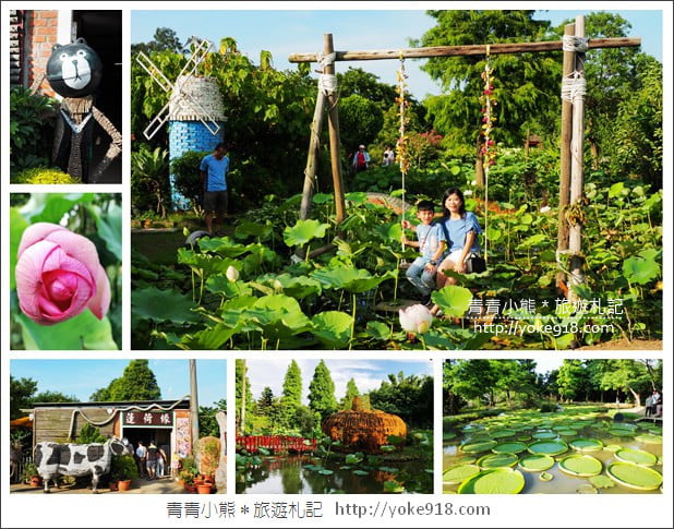 桃園景點》觀音蓮荷園.走入世外桃花源,還可乘坐大王蓮 @青青小熊*旅遊札記 桃園景點》觀音蓮荷園.走入世外桃花源,還可乘坐大王蓮 @青青小熊*旅遊札記