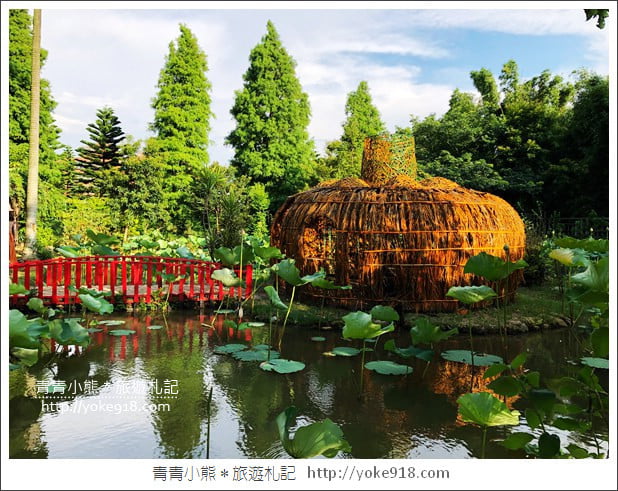 桃園景點》觀音蓮荷園.走入世外桃花源,還可乘坐大王蓮 @青青小熊*旅遊札記 桃園景點》觀音蓮荷園.走入世外桃花源,還可乘坐大王蓮 @青青小熊*旅遊札記