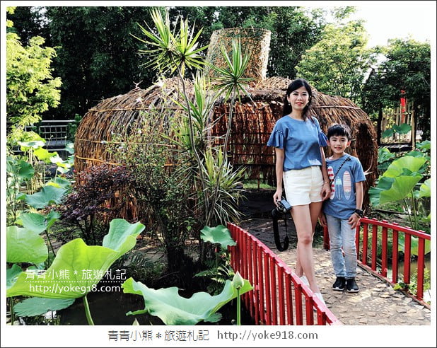 桃園景點》觀音蓮荷園.走入世外桃花源,還可乘坐大王蓮 @青青小熊*旅遊札記 桃園景點》觀音蓮荷園.走入世外桃花源,還可乘坐大王蓮 @青青小熊*旅遊札記