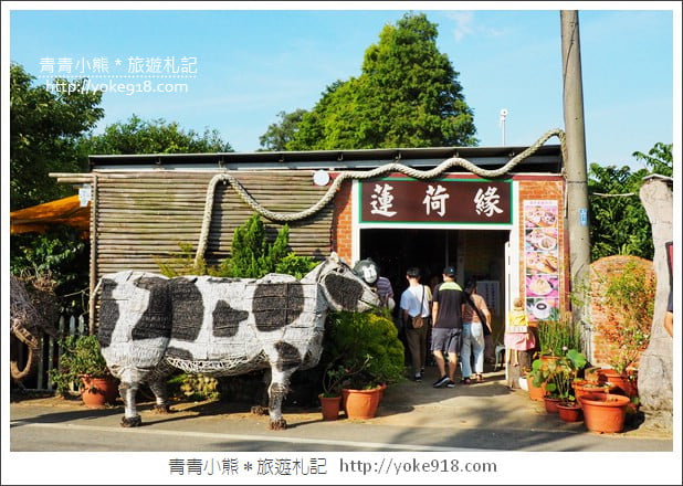桃園景點》觀音蓮荷園.走入世外桃花源,還可乘坐大王蓮 @青青小熊*旅遊札記 桃園景點》觀音蓮荷園.走入世外桃花源,還可乘坐大王蓮 @青青小熊*旅遊札記