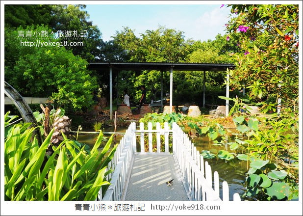 桃園景點》觀音蓮荷園.走入世外桃花源,還可乘坐大王蓮 @青青小熊*旅遊札記 桃園景點》觀音蓮荷園.走入世外桃花源,還可乘坐大王蓮 @青青小熊*旅遊札記