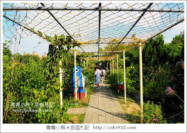桃園景點》觀音蓮荷園.走入世外桃花源,還可乘坐大王蓮 @青青小熊*旅遊札記 桃園景點》觀音蓮荷園.走入世外桃花源,還可乘坐大王蓮 @青青小熊*旅遊札記