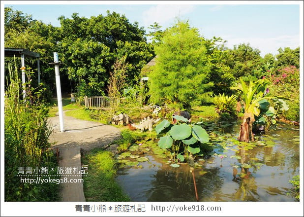 桃園景點》觀音蓮荷園．走入世外桃花源，還可乘坐大王蓮 @青青小熊＊旅遊札記