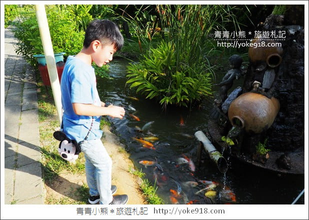桃園景點》觀音蓮荷園.走入世外桃花源,還可乘坐大王蓮 @青青小熊*旅遊札記 桃園景點》觀音蓮荷園.走入世外桃花源,還可乘坐大王蓮 @青青小熊*旅遊札記