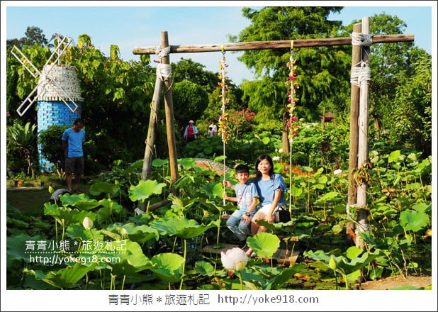 桃園景點》觀音蓮荷園．走入世外桃花源，還可乘坐大王蓮 @青青小熊＊旅遊札記