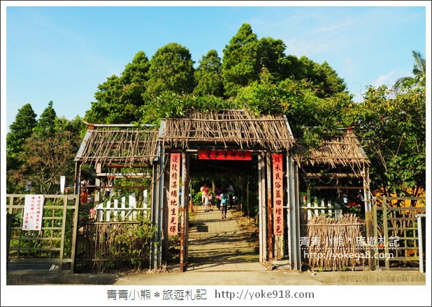 桃園景點》觀音蓮荷園．走入世外桃花源，還可乘坐大王蓮 @青青小熊＊旅遊札記