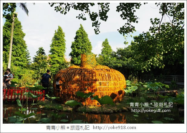 桃園景點》觀音蓮荷園.走入世外桃花源,還可乘坐大王蓮 @青青小熊*旅遊札記 桃園景點》觀音蓮荷園.走入世外桃花源,還可乘坐大王蓮 @青青小熊*旅遊札記