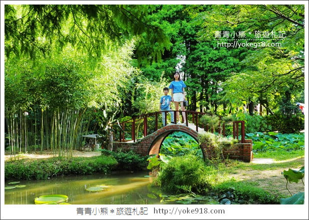 桃園景點》觀音蓮荷園．走入世外桃花源，還可乘坐大王蓮 @青青小熊＊旅遊札記