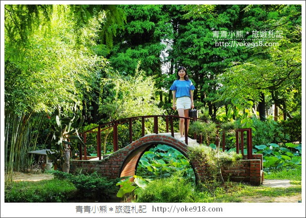 桃園景點》觀音蓮荷園.走入世外桃花源,還可乘坐大王蓮 @青青小熊*旅遊札記 桃園景點》觀音蓮荷園.走入世外桃花源,還可乘坐大王蓮 @青青小熊*旅遊札記