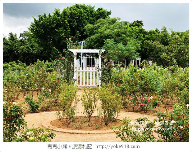 桃園新景點》玫瑰山谷.滿滿玫瑰花的花園~就像走入童話般的夢幻 @青青小熊*旅遊札記 桃園新景點》玫瑰山谷.滿滿玫瑰花的花園~就像走入童話般的夢幻 @青青小熊*旅遊札記