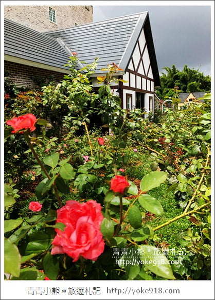 桃園新景點》玫瑰山谷.滿滿玫瑰花的花園~就像走入童話般的夢幻 @青青小熊*旅遊札記 桃園新景點》玫瑰山谷.滿滿玫瑰花的花園~就像走入童話般的夢幻 @青青小熊*旅遊札記