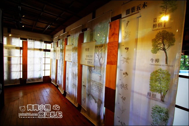 台南景點》臺灣木材故事館.白河新景點~日式宿舍大變身 @青青小熊*旅遊札記 台南景點》臺灣木材故事館.白河新景點~日式宿舍大變身 @青青小熊*旅遊札記